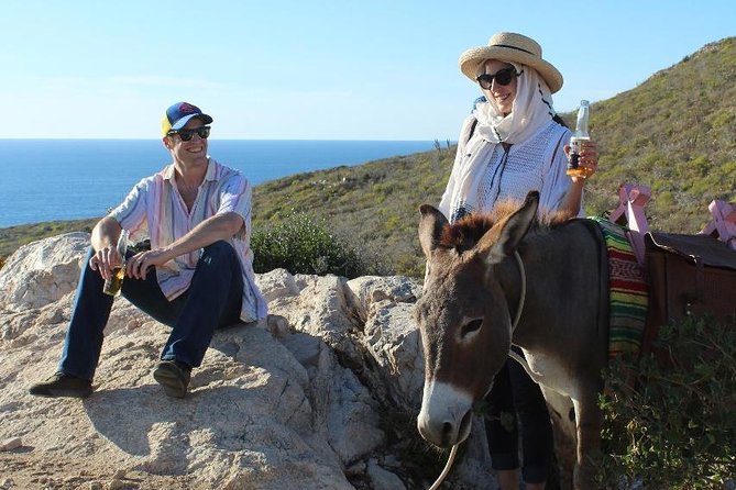 Sunset Pacific Donkey Hiking Tour - Key things to know before you go
