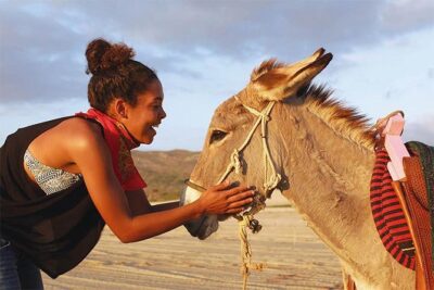 Sunset Pacific Donkey Hiking Tour - The hike up: desert trails, photo points, and learning the pace