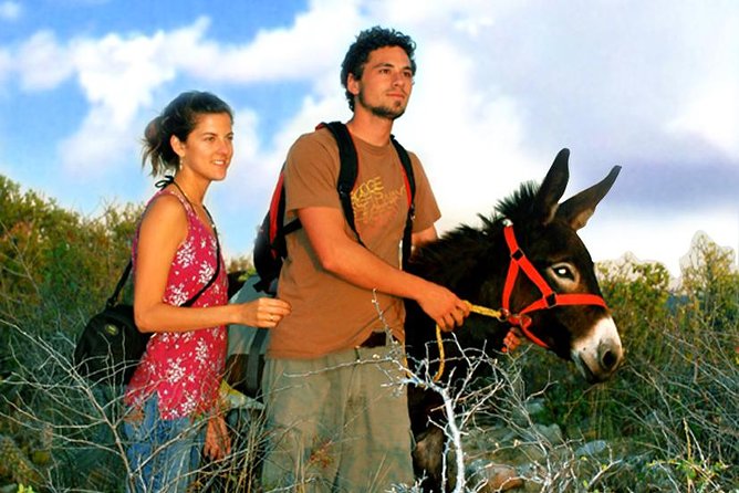 Sunset Pacific Donkey Hiking Tour - The ranch after: time to linger with the donkeys and enjoy the setting