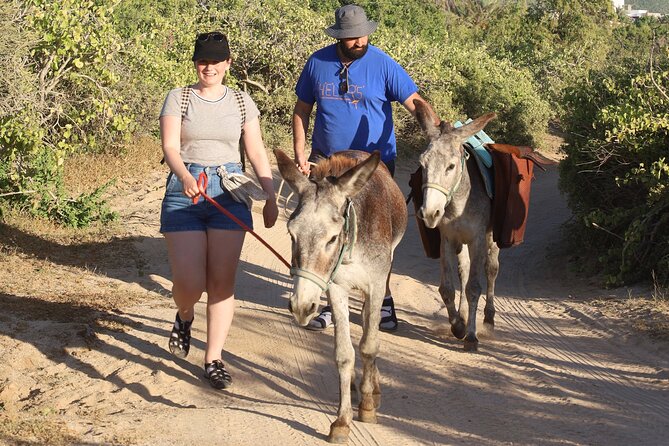 Sunset Pacific Donkey Hiking Tour - Picking the right departure time in Cabo (9:30, 12:30, 3:30)