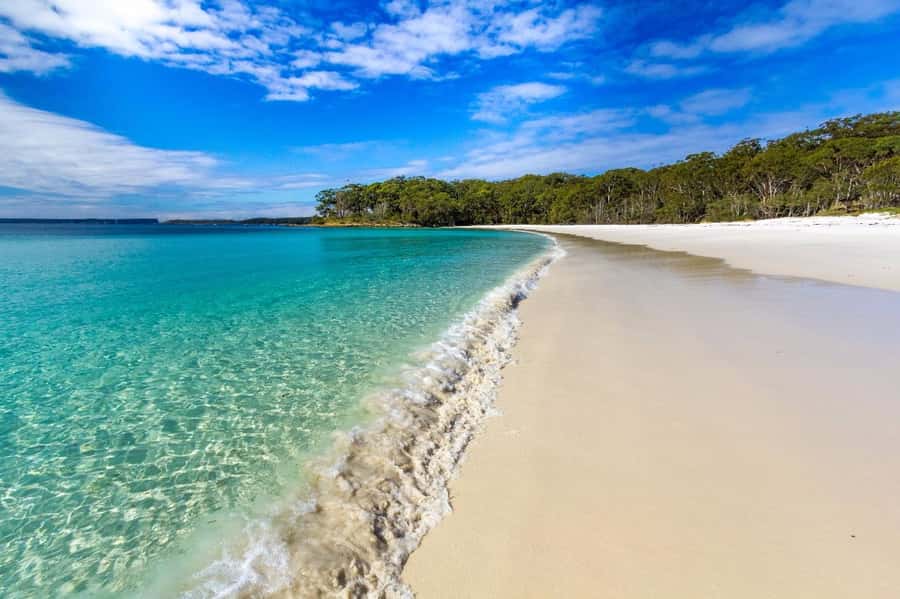 Sydney: Port Stephens Day Trip with Dolphin Cruise or Hike - Quick takes before you go