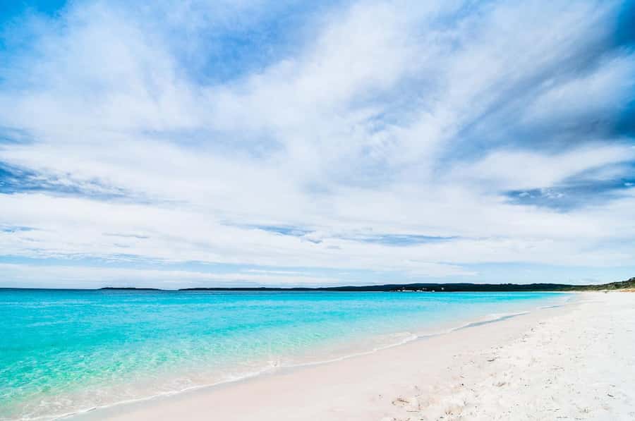 Sydney: Port Stephens Day Trip with Dolphin Cruise or Hike - Mount Tomaree hike option: sea views, stairs, and the chance of sightings