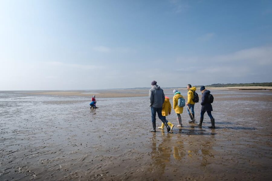 Sylt: Guided Mudflat Hike on the Island - Sylt’s Mudflats: The Walk That Makes the Tide Feel Personal