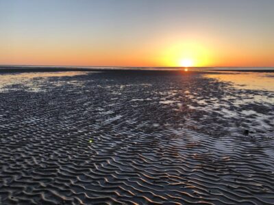 Sylt: Guided Mudflat Hike on the Island - Barefoot in Warm Months, Rubber Boots in Cooler Seasons