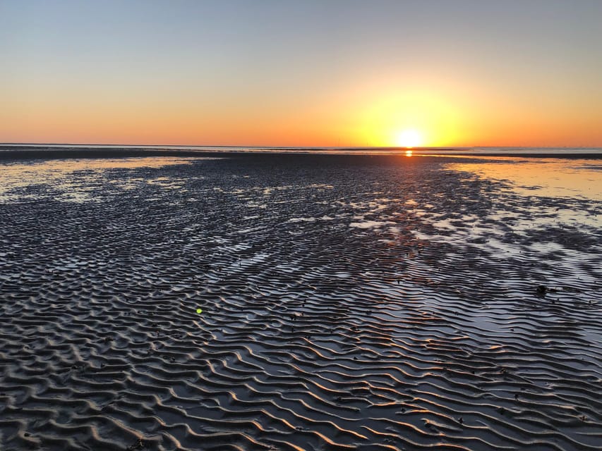 Sylt: Guided Mudflat Hike on the Island - Barefoot in Warm Months, Rubber Boots in Cooler Seasons