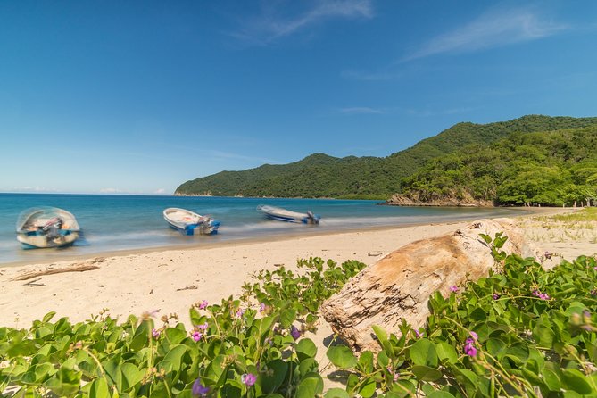 Tayrona Park Hike Tour to Cabo San Juan: Private or Shared - The guide experience: when a good host changes everything