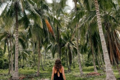 Tayrona Park Hike Tour to Cabo San Juan: Private or Shared - Starting in Santa Marta: timing helps you avoid the mess
