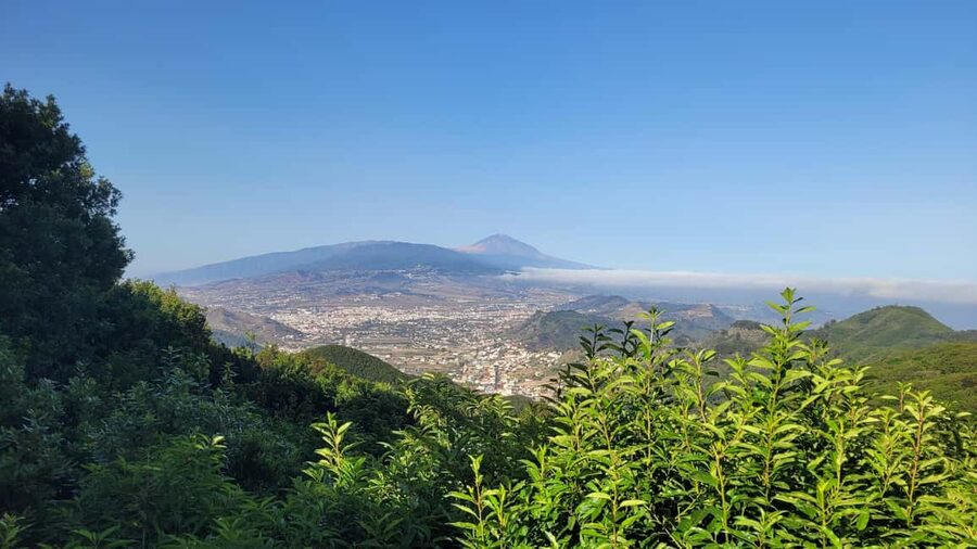 Tenerife Anaga Mountains: Circular Hike in the Laurel Forest - Small Group 10-12 P - Key things I think you’ll notice right away