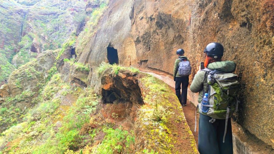Tenerife: Anaga Mountains & Enchanted Forest Hiking Tour - Entering Anaga’s Enchanted Forest Without the Crowds