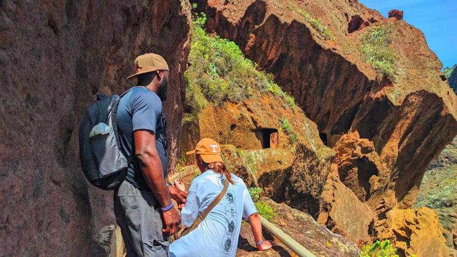 Tenerife: Anaga Mountains & Enchanted Forest Hiking Tour - The Enchanted Forest Starter Walk: Short, Misty, and Atmospheric