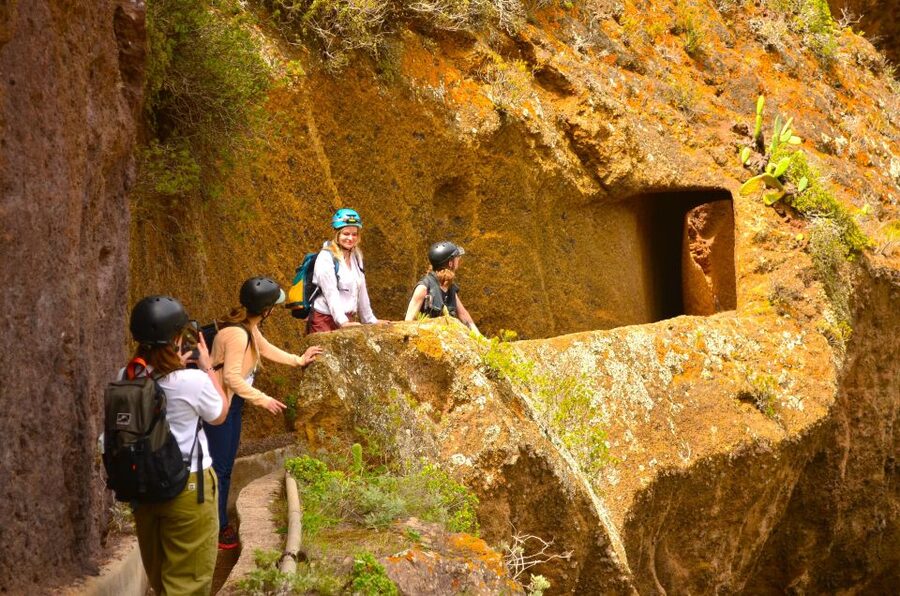 Tenerife: Anaga Mountains & Enchanted Forest Hiking Tour - The Final Climb: Short but Worth Respecting