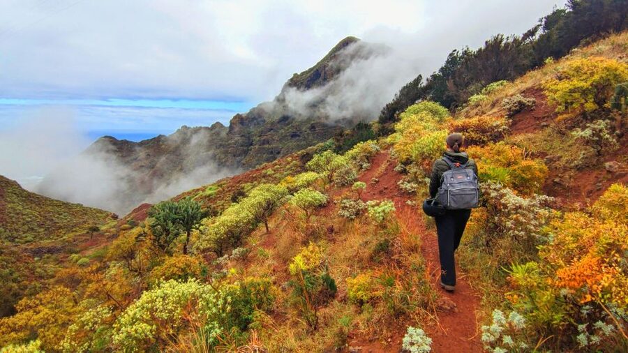 Tenerife: Anaga Mountains & Enchanted Forest Hiking Tour - The Van Ride: A Calm Build-Up to Teide Views