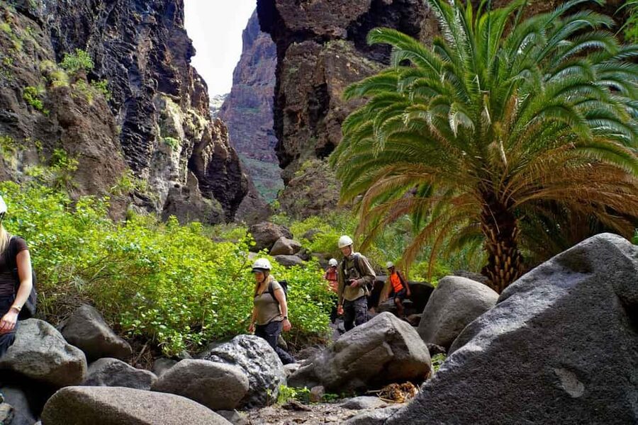 Tenerife Barranco de Masca: Guided hike + boat ride + transport - Key things that make this trip worth your time
