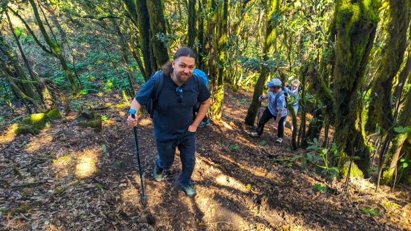 Tenerife: Hike Above Masca in Enchanted Forest with Pick-up - Key highlights at a glance