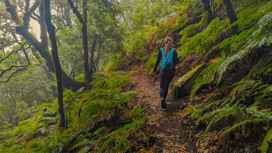 Tenerife: Hike Above Masca in Enchanted Forest with Pick-up - Why this hike above Masca feels like two different worlds