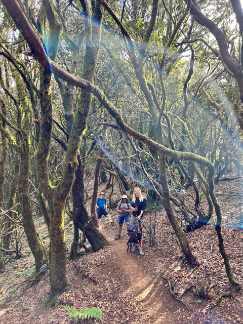 Tenerife: Hike Above Masca in Enchanted Forest with Pick-up - A short picnic break on historical ground