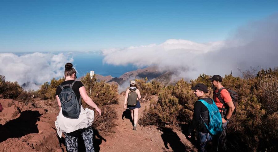Tenerife: Hike Above Masca in Enchanted Forest with Pick-up - Pickup that gets you hiking without a car scramble