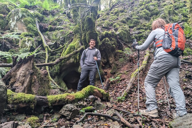 Tenerife: Hiking through Enchanted forest Above Masca with PICKUP - Four Climates Above Masca, Without the Long-Day Fuss