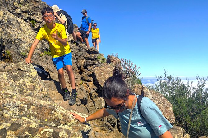 Tenerife: Hiking through Enchanted forest Above Masca with PICKUP - Picnic Break, Then the Laurel Cloud Forest Magic