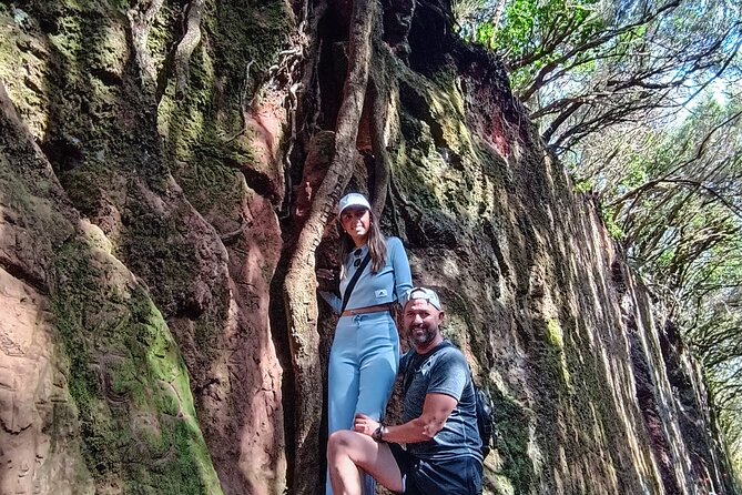 Tenerife: Hiking Tour in Anaga Mountains and Enchanted Forest - Key highlights worth your time