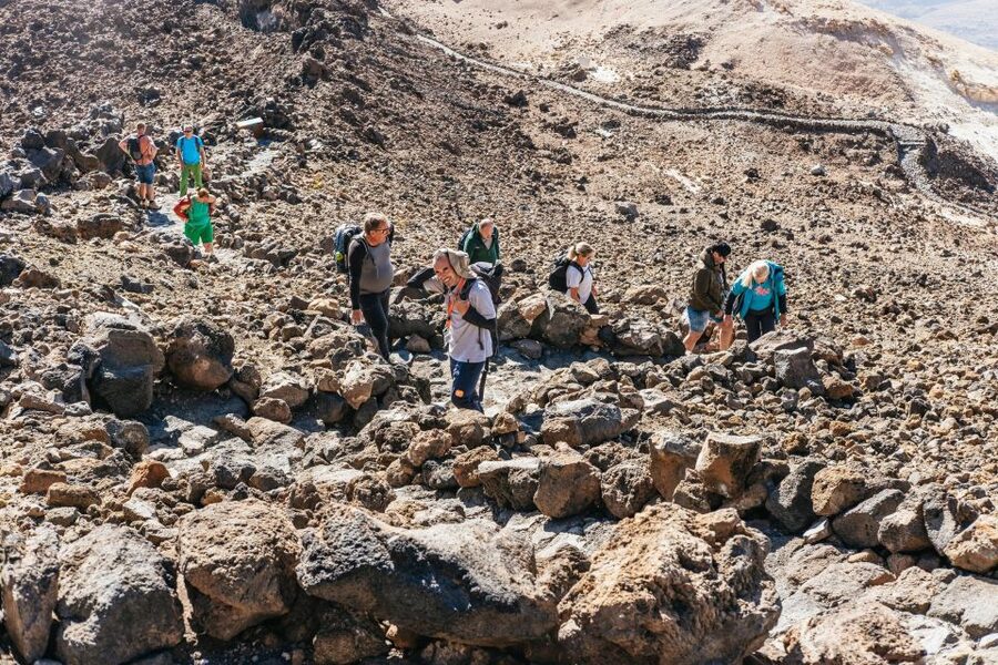 Tenerife: Mount Teide Summit Hiking Adventure with Cable Car - Price and value: is $160 worth it?