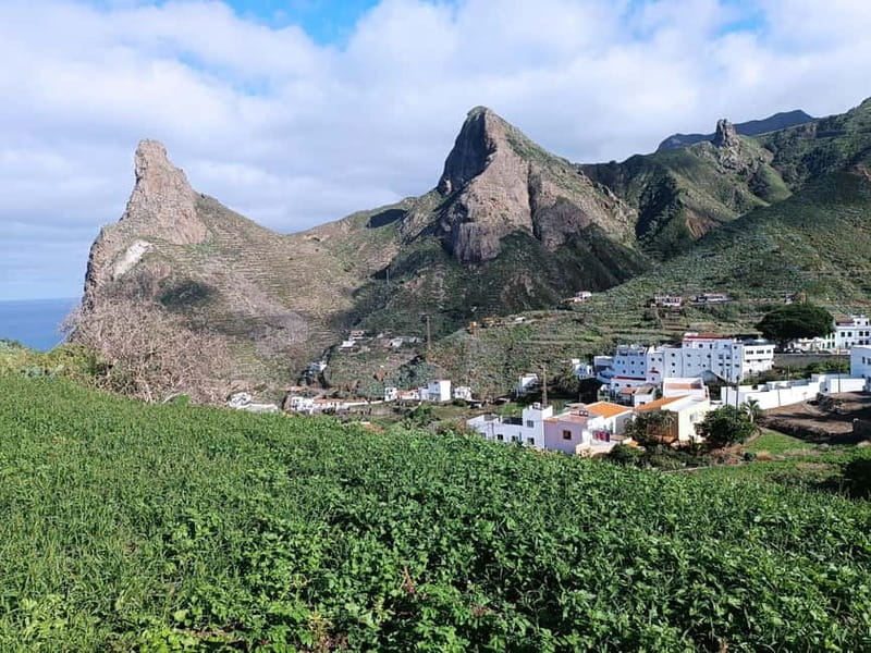 Tenerife-Puerto Cruz: Avatar Hiking, Punta Hidalgo +Cocktail - A full Tenerife day built around Anaga’s magic