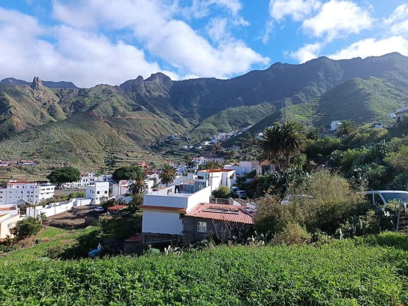 Tenerife-Puerto Cruz: Avatar Hiking, Punta Hidalgo +Cocktail - More Anaga viewpoints: Pico del Inglés and the old path