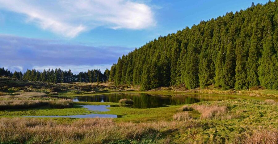 Terceira Island: Mistérios Negros Hiking - Key highlights you’ll actually care about