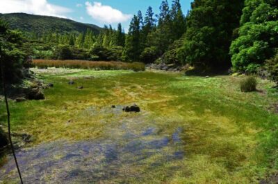 Terceira Island: Mistérios Negros Hiking - Pico Gaspar: the climb that gives context to every dark-rock step