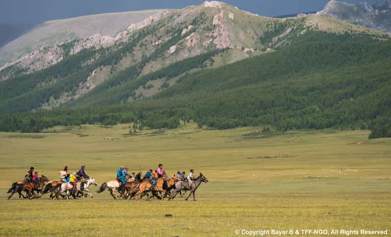Terelj National Park: Tour with horse riding and hiking - Why this 2-day Terelj trip is a smart move from Ulaanbaatar