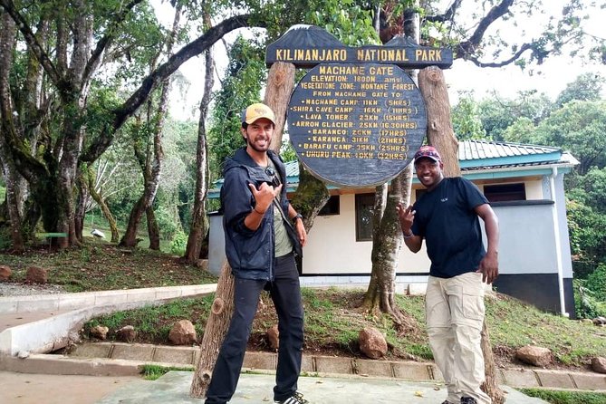 The Best of Machame Route in 6 Days: Your World's Summit Guide - Shira Plateau and Moorland on Day Two