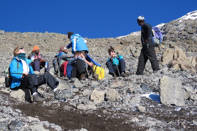 The Best of Machame Route in 6 Days: Your World's Summit Guide - Barranco Wall to Barafu Camp: Where the South Circuit Feels Real