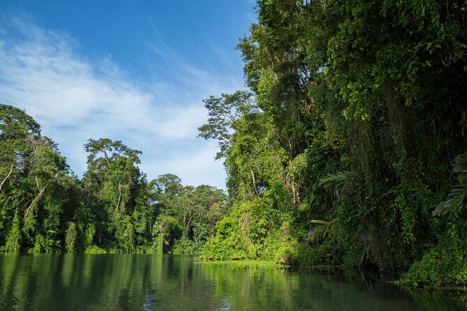The best of Tortuguero: Canoe, hike and night tour (turtle in Jul-Oct) - Key highlights worth planning around