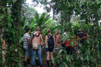 The best of Tortuguero: Canoe, hike and night tour (turtle in Jul-Oct) - Morning Canoe at 5:45am: When the River Starts Talking