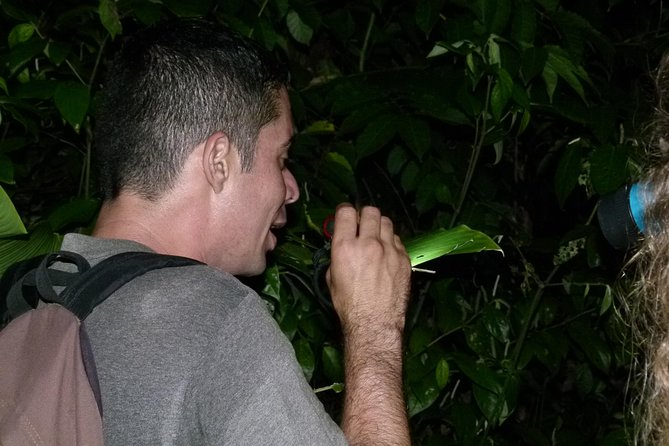 The best of Tortuguero: Canoe, hike and night tour (turtle in Jul-Oct) - Who’s Guiding You: Why the Best Tours Ride on the Right Guide