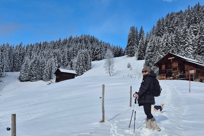 The best Sunset hike with Cheese Fondue - Key highlights at a glance