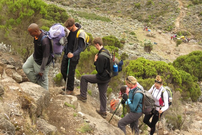 The Best & Unique Kilimanjaro Hiking tour 7 days Machame route - The Guide Team: English Support and Real Safety Focus