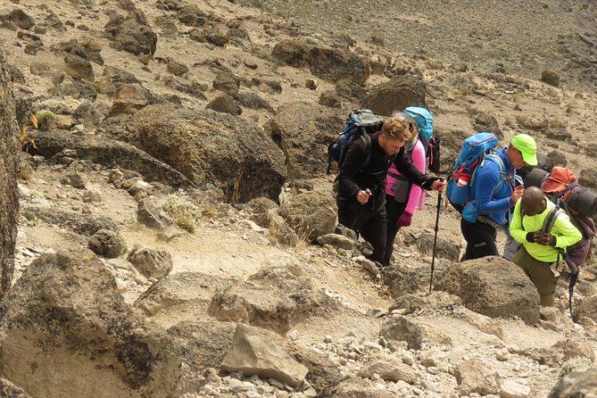 The Best & Unique Kilimanjaro Hiking tour 7 days Machame route - Food, Camping Gear, and What You’re Really Paying For