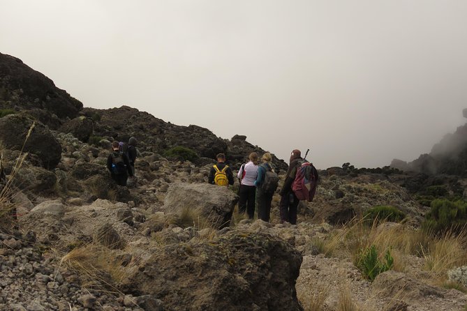 The Best & Unique Kilimanjaro Hiking tour 7 days Machame route - Who Should Book This Machame 7-Day Tour