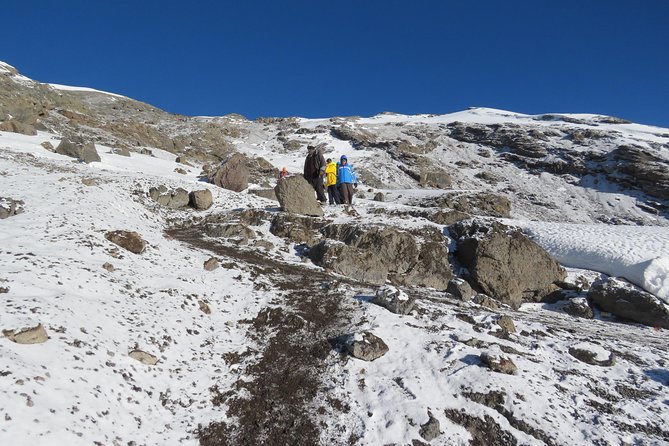 The Best & Unique Kilimanjaro Hiking tour 7 days Machame route - Moshi Pickup, Private Transport, and Group Size Reality