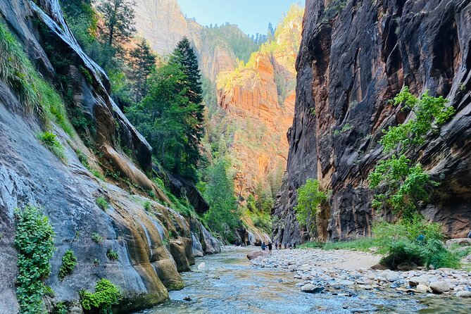 The Narrows: Zion National Park Private Guided Hike - Waders, poles, and the underfoot technique you’ll actually use