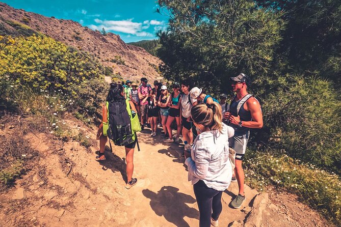 The Volcano Heart Tour: Hiking, Tasting and Sunset Experience - Pickup and timing: door-to-door, but be ready