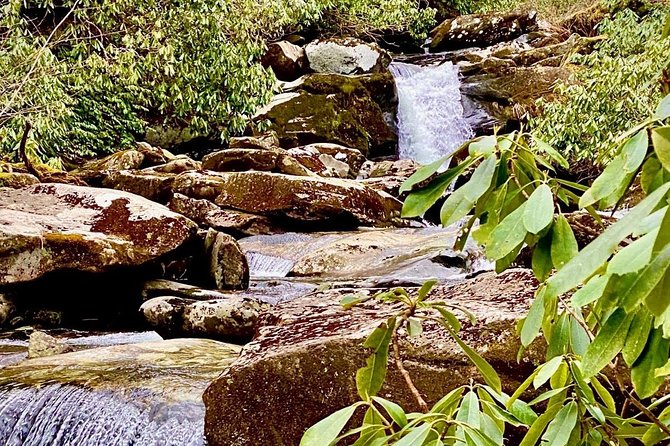 Thundering Streams and Falls of the Smokies Guided Hiking Tour - Key highlights worth planning around