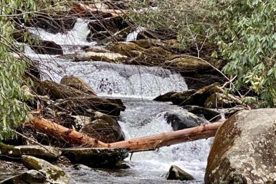 Thundering Streams and Falls of the Smokies Guided Hiking Tour - The cascades and falls hike: what you’ll do on the trail