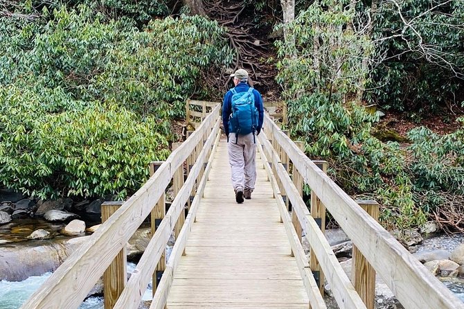 Thundering Streams and Falls of the Smokies Guided Hiking Tour - Terrain and prep: what to expect when your feet get wet