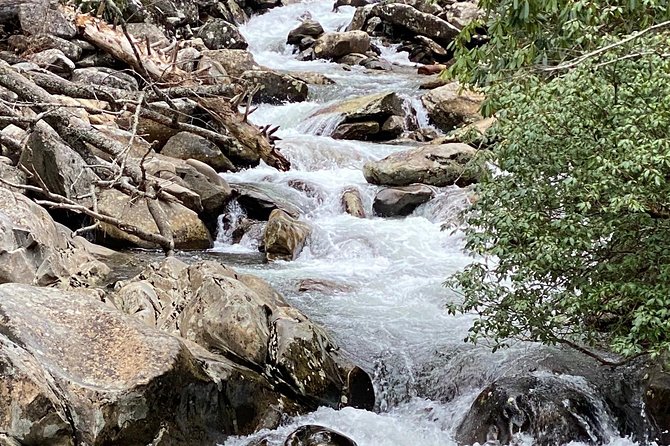 Thundering Streams and Falls of the Smokies Guided Hiking Tour - The value question: is $77 worth it?