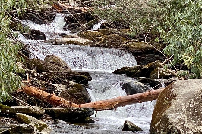 Thundering Streams and Falls of the Smokies Guided Hiking Tour - The cascades and falls hike: what you’ll do on the trail