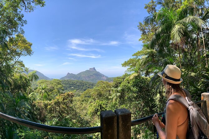 Tijuca Forest Hike - Waterfalls & Caves, Nature & Wild Life! - Tijuca National Park Waterfalls and Caves: why this hike feels different