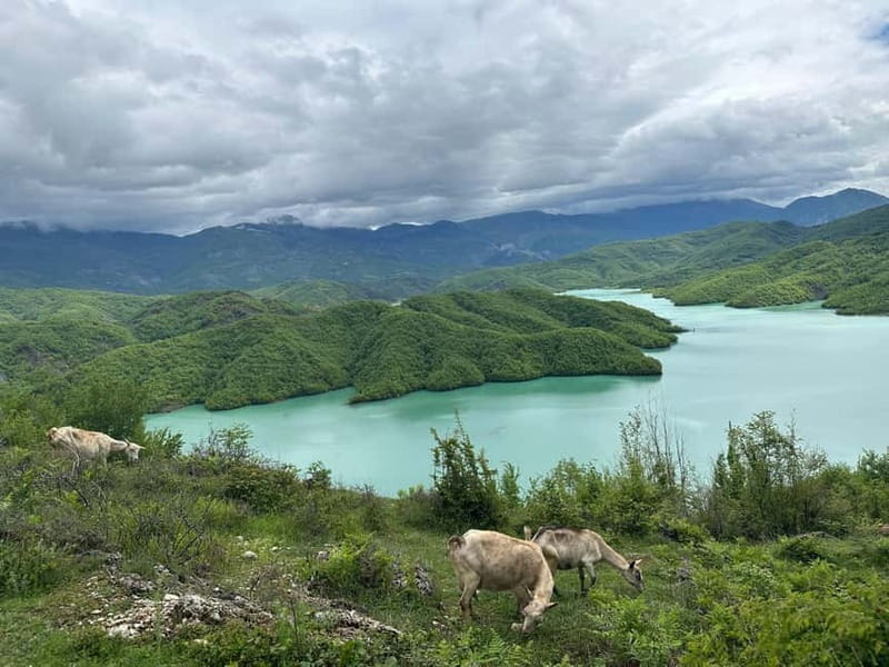 Tirana: Bovilla Lake & Gamti Mountain with SUV, No-Hiking - What to bring: the packing list that keeps the day comfortable