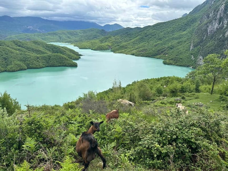Tirana: Bovilla Lake & Gamti Mountain with SUV, No-Hiking - Who should book (and who should skip) this Bovilla and Gamti SUV trip